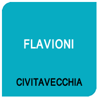 CV-Flavioni